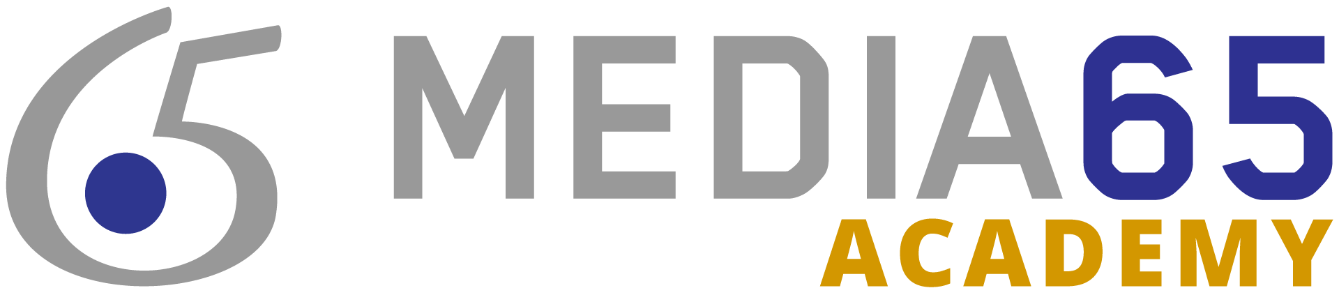 Media65 Academy